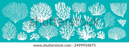 Sea reef corals and ocean seaweeds silhouettes or imprints, vector white icons. Cartoon undersea and ocean underwater fauna plants background with corals and actinia aquatic flowers for marine pattern