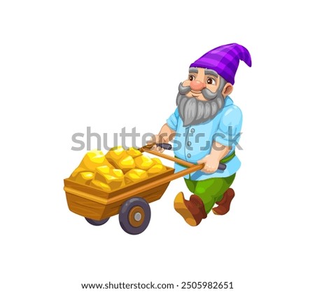 Cartoon gnome dwarf character carrying wheelbarrow with gold ore, vector fairy tale personage. Gnome man miner or little dwarf worker with cart of golden ingots for kids game or toy play