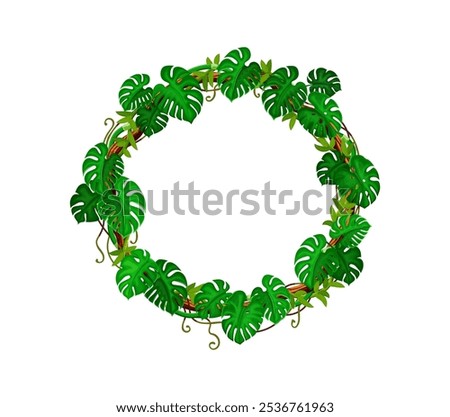 Jungle monstera leaves and liana round frame. Tropical forest nature vine shrub leaves isolated cartoon vector round frame, African rainforest flora creeper liana branch, ivy plant circle