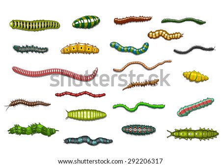 Cartoon crawling and wriggling caterpillars and worms with stripes, spot, and urticating hairs for biology or ecology design