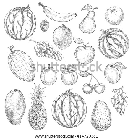 Delicious Summer Fruits Vintage Engraving Sketches With Orange, Apple ...