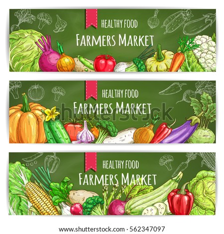 Vegetables banners. Farmers sketch veggies cabbage, onion, radish and tomato, peas and broccoli, leek and carrot, cauliflower and pumpkin, pepper, cucumber and garlic, eggplant, beet, corn, asparagus