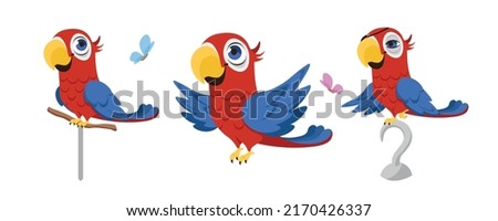 Vector illustration of cute and beautiful parrots on white background. Charming characters in different poses sit on a perch, fly, sit on a pirate hook and an eye patch in cartoon style.