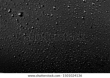 Similar – Image, Stock Photo Reflection in a rainwater barrel