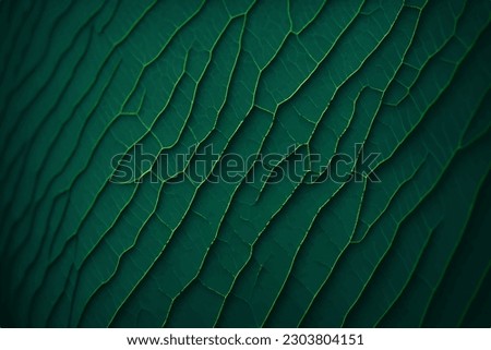Leaf texture. Leaf macro view. Dark green leaf background.