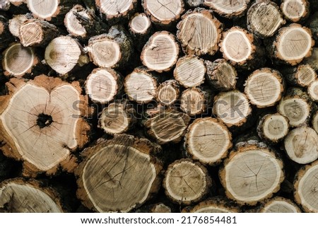 Wood Log stock image. Image of nature, wood, wooden, bark - 28312735