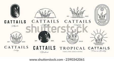 set of cattail logo line art vector illustration concept template icon design, collection of nature cattail plant with badge and symbol concept vector illustration logo design