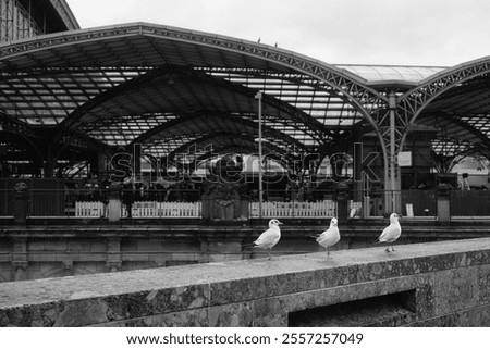 Similar – Foto Bild Am Kölner Hauptbahnhof