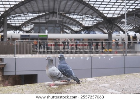 Similar – Foto Bild Am Kölner Hauptbahnhof