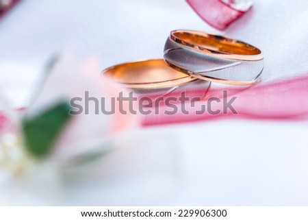 Two rings - a husband and wife in white gold. On white fabric with pink ribbon and flower roses in blurring.