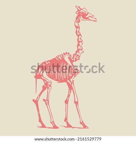 Vector image of a giraffe skeleton - option 1