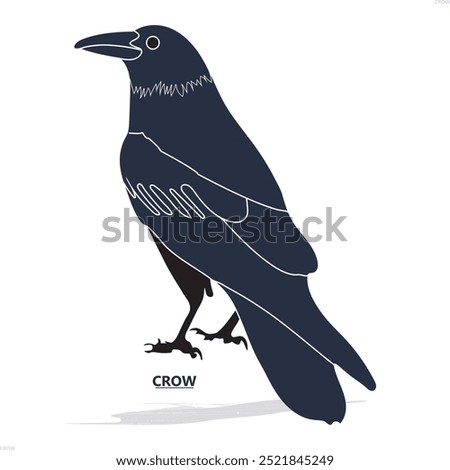 
A crow silhouette black vector artwork illustration