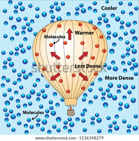 Molecules in a Hot-Air Balloon. Warmer molecules inside the balloon are denser than the cooler molecules in the air outside the balloon. The hot air rises.