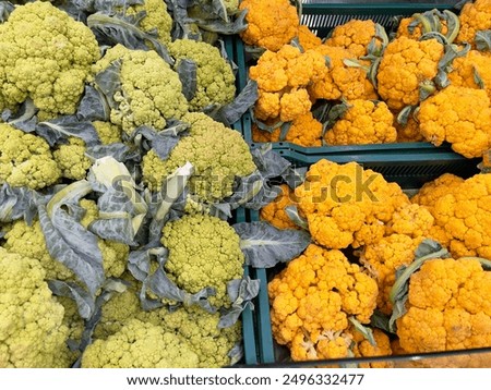 Similar – Foto Bild Blumenkohlsorte auf mehrfarbigem Hintergrund