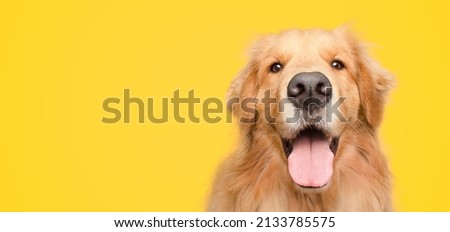 Similar – Image, Stock Photo Smiling dog with tongue sticking out vector illustration with blue background. EPS10 vector