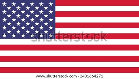 vector illustration of the flag of the United States of America