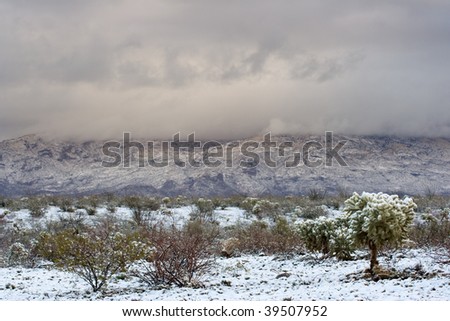 Arizona Desert with snow on cactus, mountains in the background and storm clouds