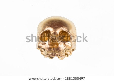 Shutterstock Puzzlepix