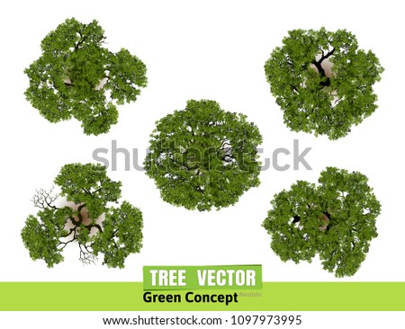 tree from above png stunning free transparent png clipart images free download tree from above png stunning free