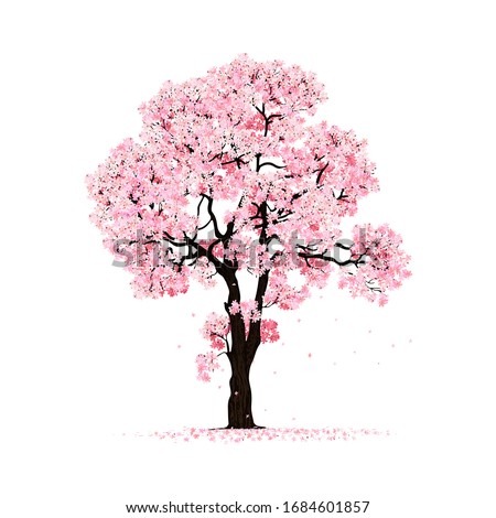  beautiful cherry blossom tree  isolated on white backdrop. Stock foto © 