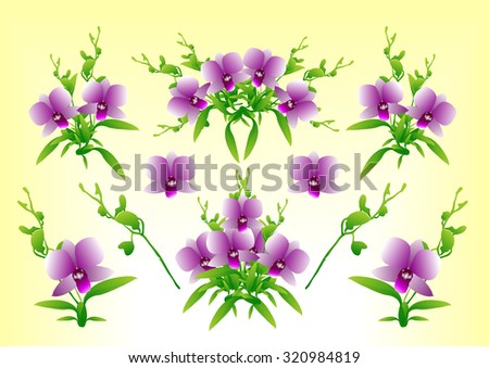 Flower orchid. Vector eps 10,Vector image of orchid flower on white background,Orchid spa flower vector illustration,Beautiful Realistic Vector Orchid Flowers,Purple Flower orchid, Purple flowers