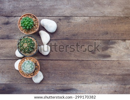 cactus and stones on wooden background