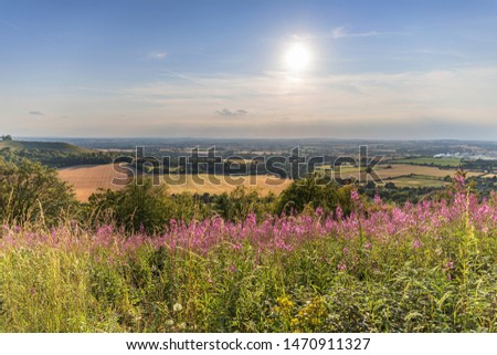 Shutterstock Puzzlepix