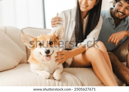 Similar – Foto Bild Paar mit Hund am Sandstrand in der Bretagne mit stürmischem Himmel und Fußspuren im Sand