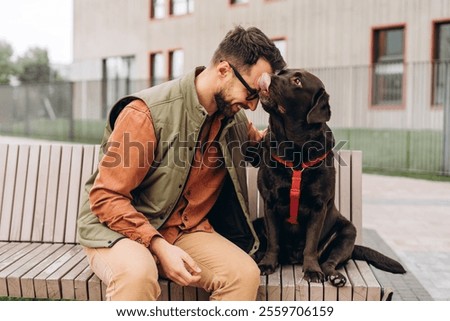 Similar – Image, Stock Photo beautiful black labrador sitting outdoors on brown leaves background, wearing a grey scarf and sunglasses. Autumn season