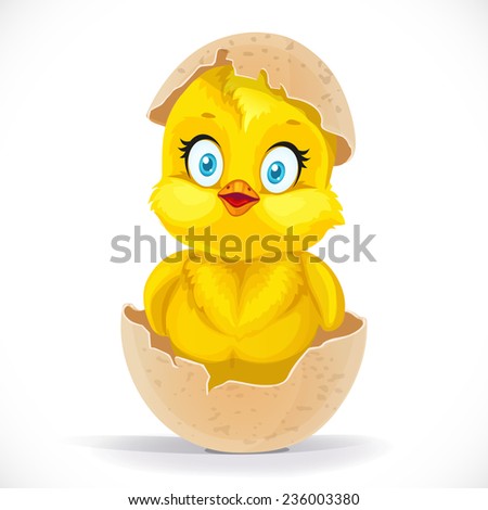 Fluffy little cartoon chick hatched from an egg isolated on a white background