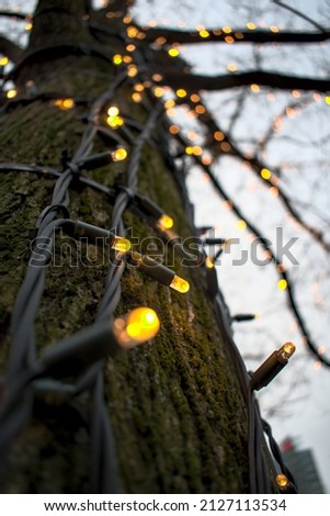 Similar – Image, Stock Photo all over, Potsdamer Platz