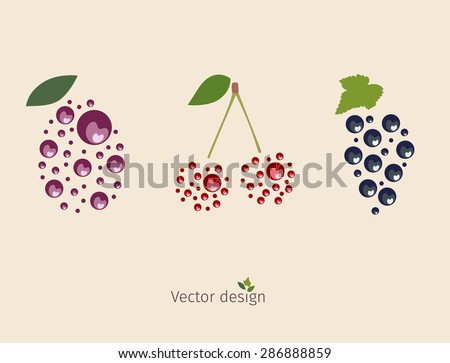 Fruit logo, plum, cherry, currant. Vector logo design template, fruit or food icon.