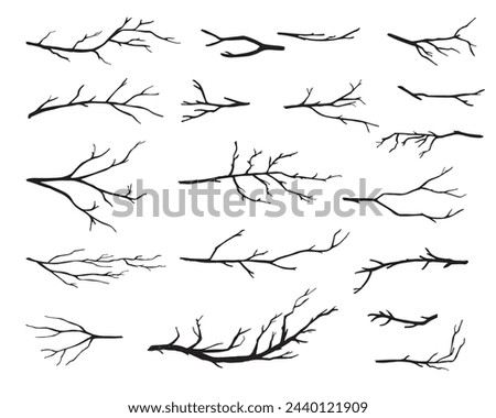 Hand drawn tree branches collection, dry tree branches on white background