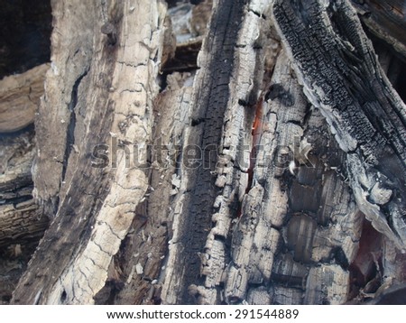 burnt firewood,charcoal remains of the fire,ash gray.
