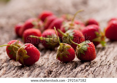 juicy, ripe strawberries straight from the home beds for you