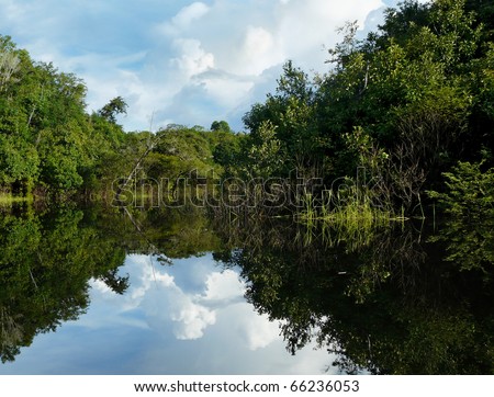 Reflections of Amazon river, Brazil