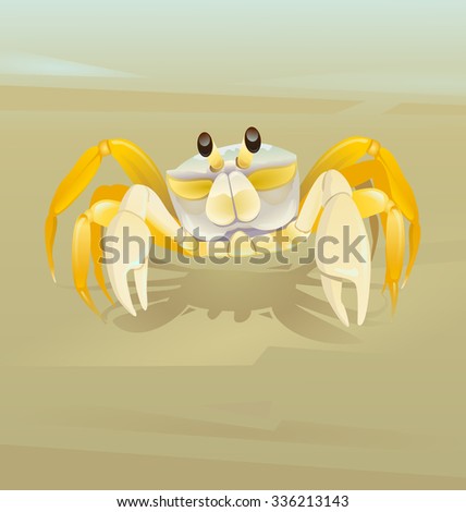 Ghost crab,Animal,Marine life