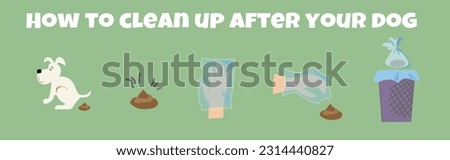 Dog poo clean up steps infographic set. Vector poster about hygiene animal, toilet cleaning information after your dog.