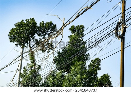 Similar – Image, Stock Photo Tree circuit Sky Branch