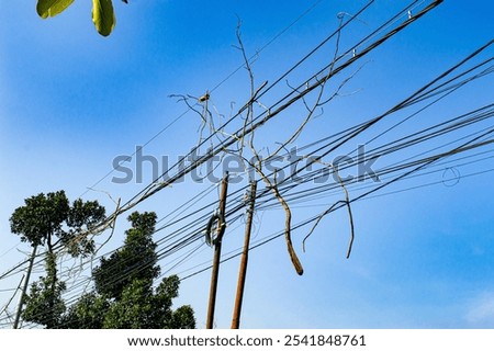 Similar – Image, Stock Photo Tree circuit Sky Branch
