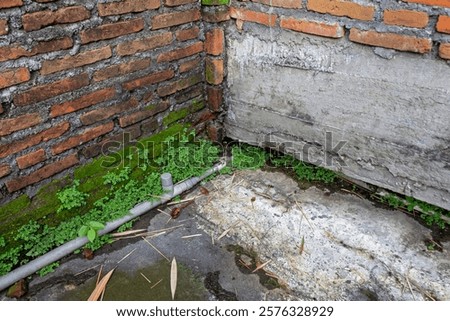 Similar – Image, Stock Photo Nature meets urbanity