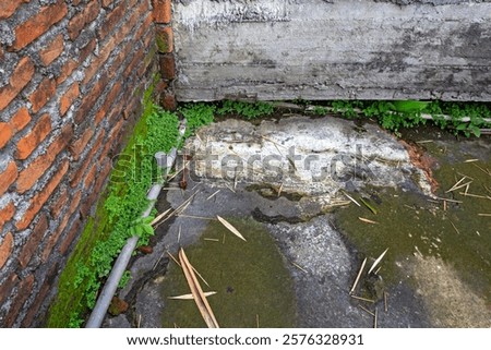 Similar – Image, Stock Photo Nature meets urbanity