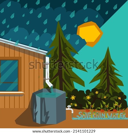 Rainwater rooftop harvesting system, collecting rain run-off in barrel. Runoff collection and storage of rainfall for reuse in household, garden in dry seasons. Creative stylized illustration