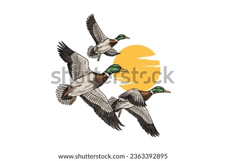 Vector Illustration Logo of three Flying Ducks, vintage colors