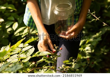 Similar – Mädchen pflückt im Garten Himbeeren vom Strauch