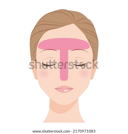 T-zone of a woman's face Imagine de stoc © 