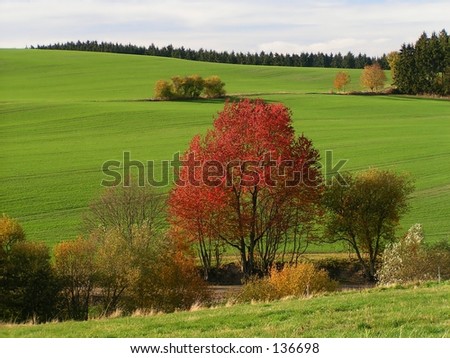 urban landscape in autumn, field between hills with trees