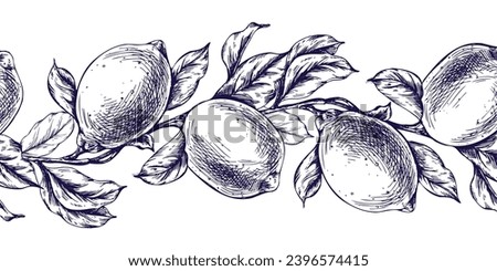 Lemons juicy, ripe with leaves, flower buds on the branches, whole and slices. Graphic botanical illustration hand drawn in blue ink. Seamless border EPS vector.