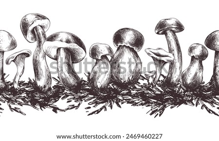 Similar – Image, Stock Photo Edible mushrooms