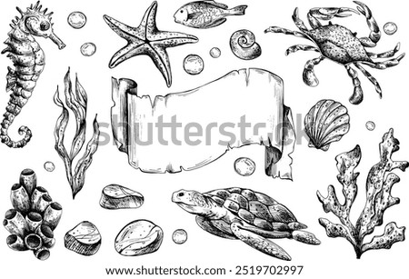 Seahorse, crab, turtle, shells, starfish, fish, bubbles, pebbles, other sea animals. Graphic illustration hand drawn in black ink. Set of isolated objects EPS vector.